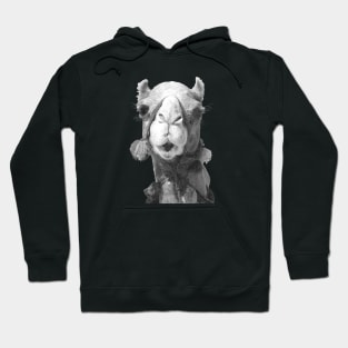 Black and White Camel Hoodie